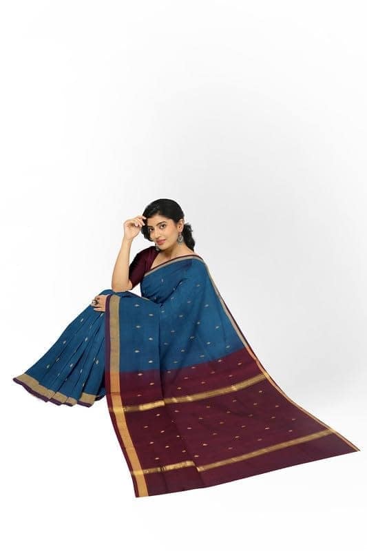 APCO Handloom - Women's Rahajmundry Pure Cotton Handloom Saree (Blue) view 4