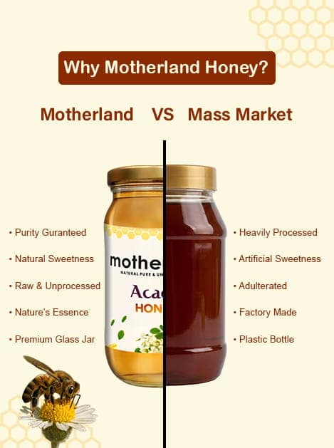 Pure & Raw Acacia Honey | Motherland Pure view 4