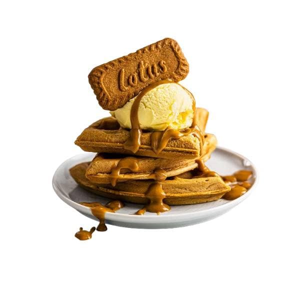Lots Bisscoff Waffle