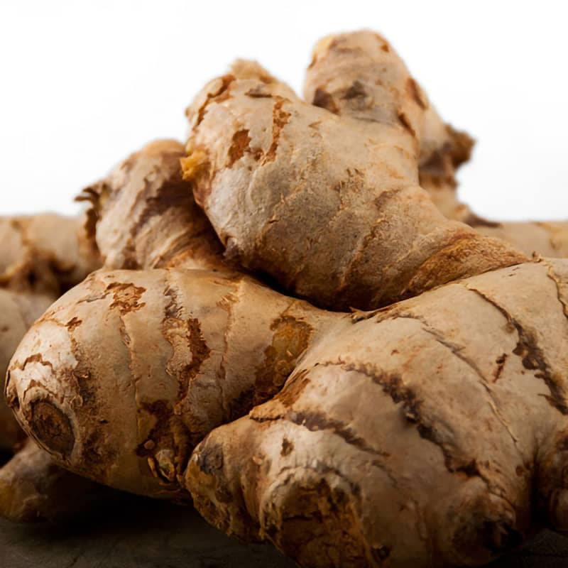 Ginger Pickle view 7