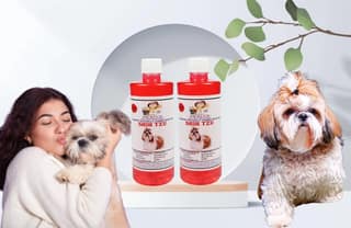 SWACCH Shampoo Specially FORMULATED for Shih TZU (500ml) (Pack of 2) Strawberry