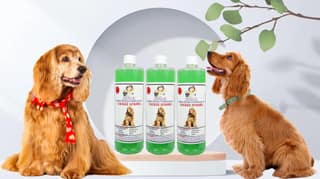 Swacch Shampoo Specially Formulated for Cocker Spaniel (1 Litre) (Combo Pack of 3) Neem Alovera