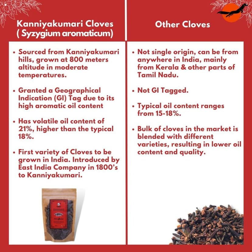 Nilgiri Marten Kanniyakumari Cloves (Laung), GiTagged, 21% Oleoresin Content view 7