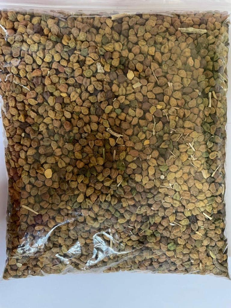 Chana (Pigeon Pea) view 3