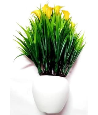 Green plant indoor Wild Flower Yellow Flowers With Pot - Pack of 1