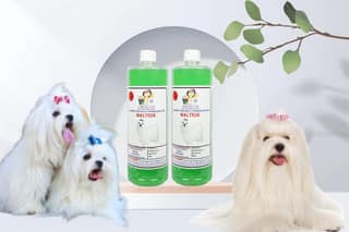 Swacch Shampoo Specially Formulated for Maltese (1 Litre) (Combo Pack of 2) Neem Alovera