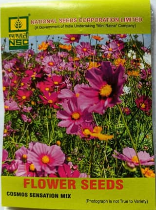 NSC Cosmos Sensation Mix Flower Seeds - Vibrant Garden Blooms