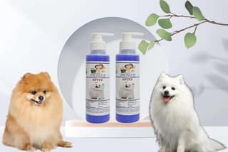 SWACCH Premium Shampoo for Spitz (200ML) (Pack of 2) Lavender