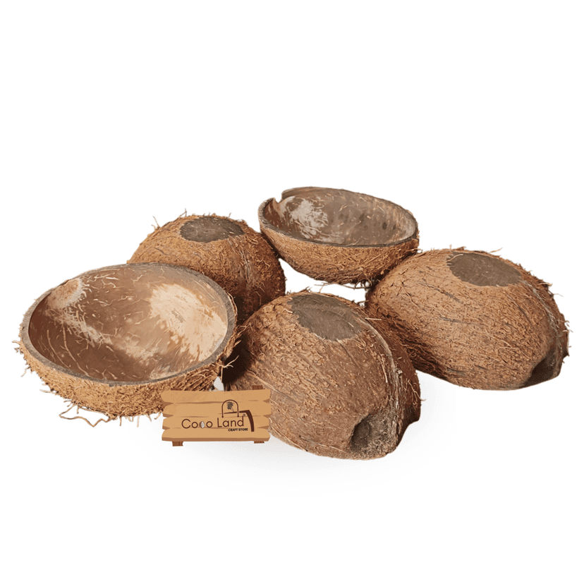 Coco Land Coconut Shell Natural Oval Pot (LARGE SIZE Pack of 30) 250 ml Decorative Pots/Showpieces/Candle Making Bowl /Handicraft/Agro Craft