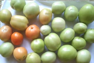 Tomato - 1 kg - 1 Pack