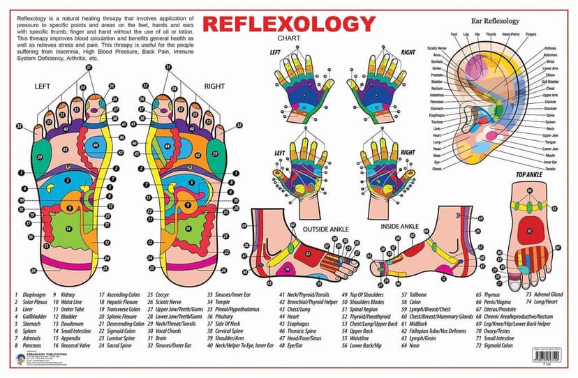 Reflexology [Poster] Dreamland Publications