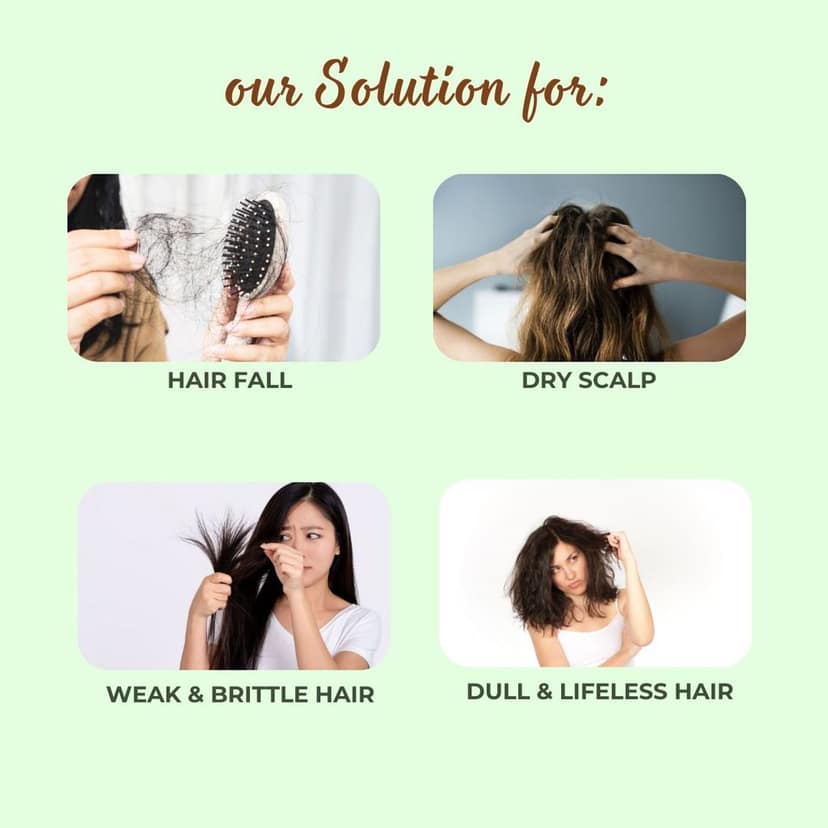 MrilQ In Harmony | Conditioning Shampoo | Hairfall Rescue | Hair Nourishment | Sulphate, Paraben & SLS Free view 6