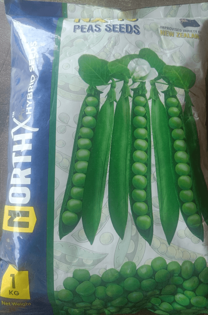 Peas seeds