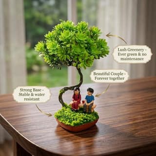 Miniature Sitting Couple Bonsai Tree Showpiece for Home Decor & Car Dashboard (16.5 cm)
