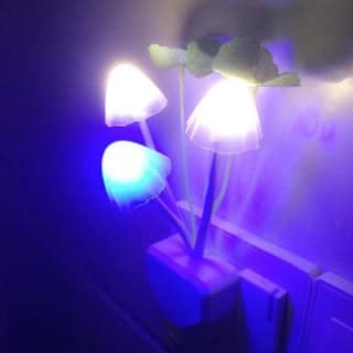 Elecsera Mushroom Light Automatic Sensor ON/Off Night Lamp (10 cm) Night Lamp (12 cm, Multicolor)