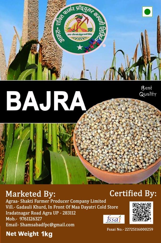 Bajra ( Pearl Millet ) view 5