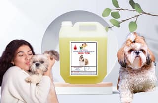 SWACCH Shampoo Specially FORMULATED for Shih TZU (10 Litre) Lemon