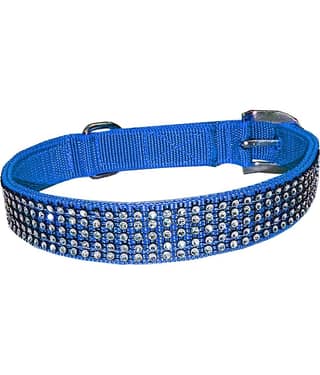 Petshop7 Blue Collar ( Large )