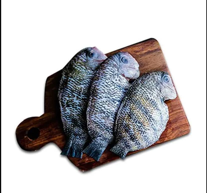 Pearl Spot / Karimeen-Whole Cleaned - 500gms