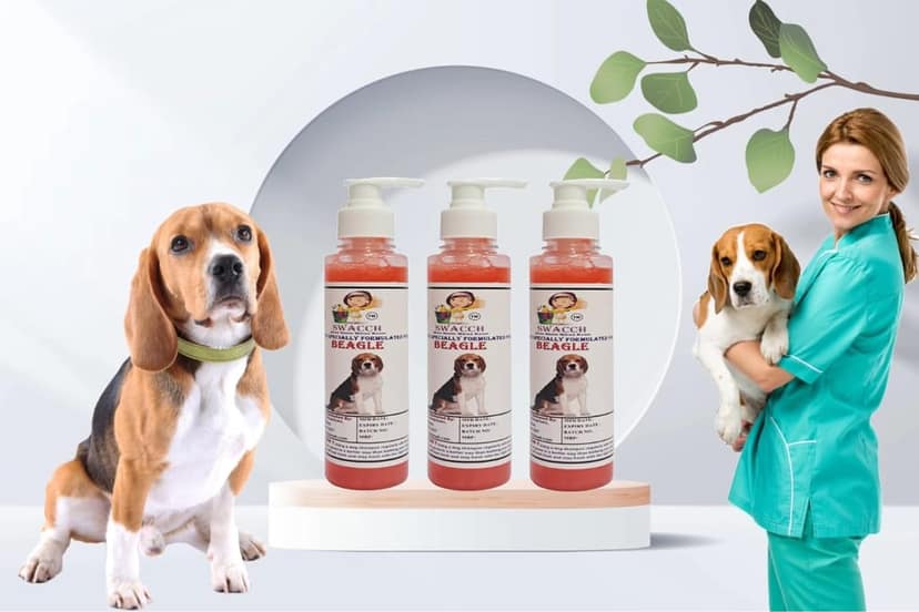 SWACCH Premium Shampoo for Beagle (200ML) (Pack of 3) Strawberry