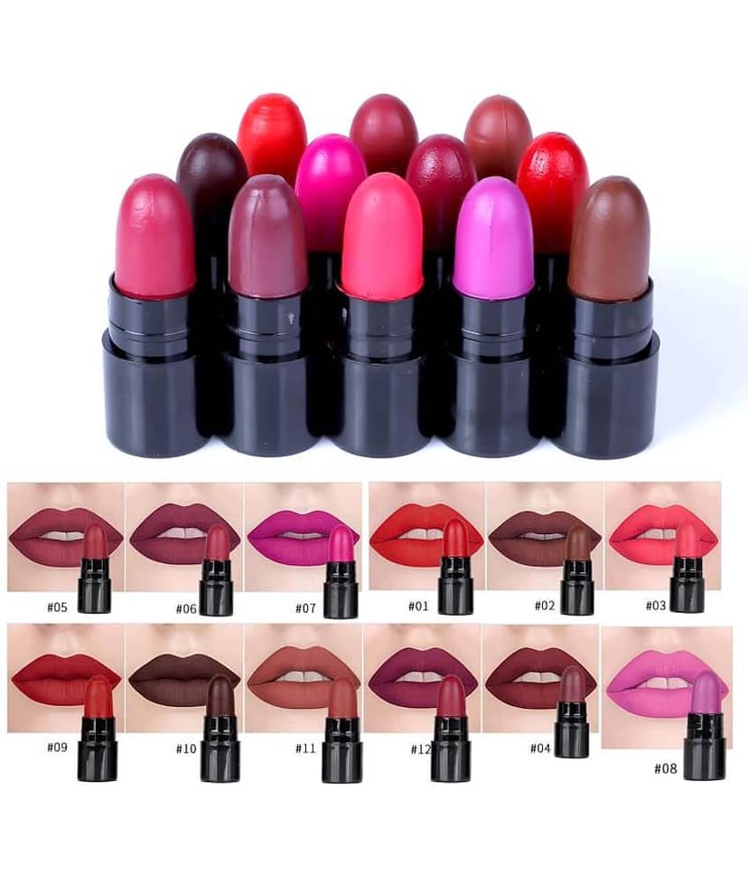 Pinner Multicolor Matte long stay Mini Bullet Lipstick (Set of 12)
