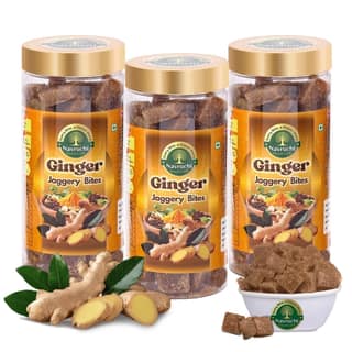 Navruchi Ginger Jaggery Bites (Pack of 3, 300g) | Natural & Healthy Sweet Treat | Everyday Wellness
