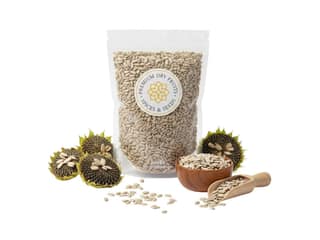 Rasda Sunflower Seeds (Surajmukhi Beej) Without Shell, Roasted & Salted - 100 Gram