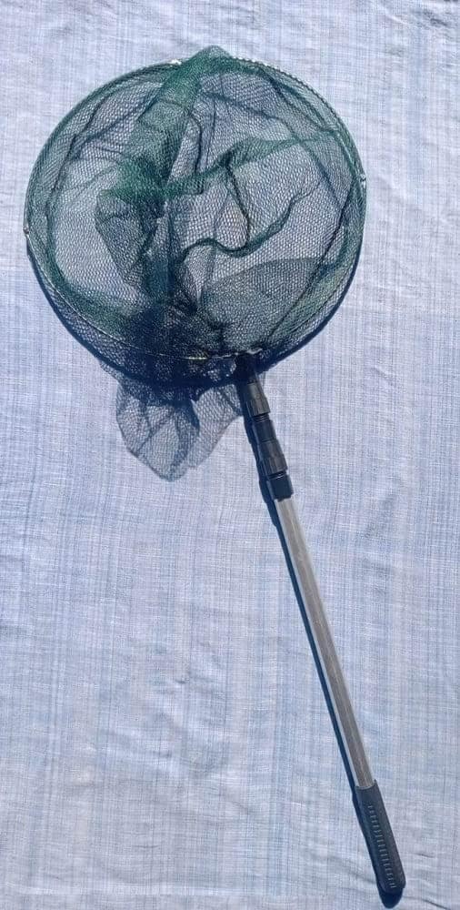 Fish Net view 2