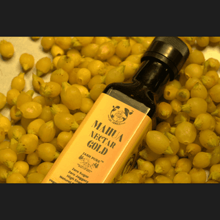 Mahua Nectar Gold • Premium Concentrated Forest Energy