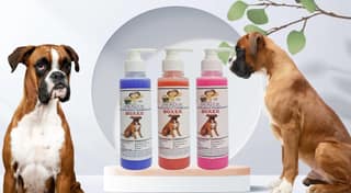 SWACCH Premium Shampoo for Boxer (200ML) (Combo Pack of 3) Lavender, Strawberry & Rose