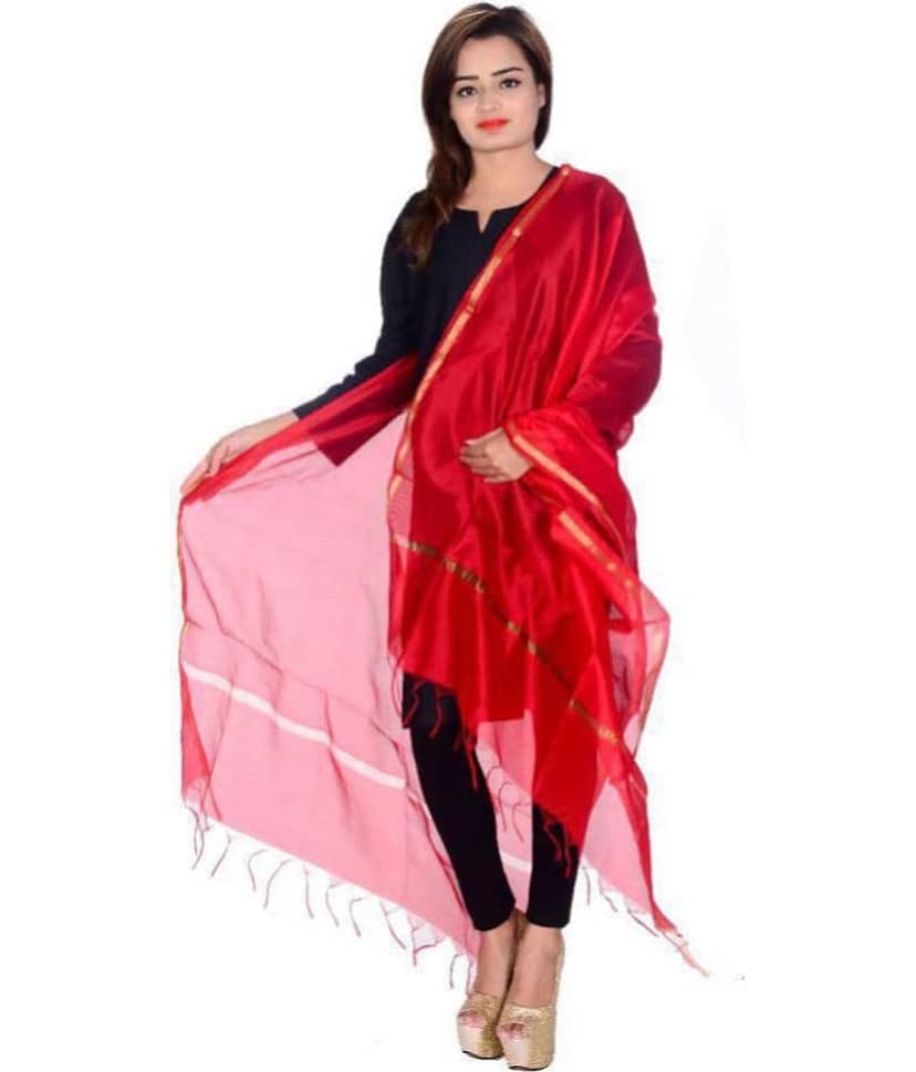 Apratim Red Chanderi Banarasi Dupatta view 2