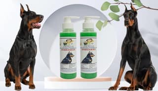 SWACCH Premium Shampoo for Doberman (200ML) (Pack of 2) NEEM ALOVERA