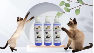 SWACCH Premium Shampoo for Siamese CAT (200ML) (Pack of 3) Lavender
