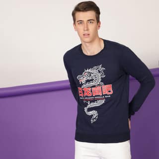 FTX Men Round Neck Printed Full sleeves Tshirt