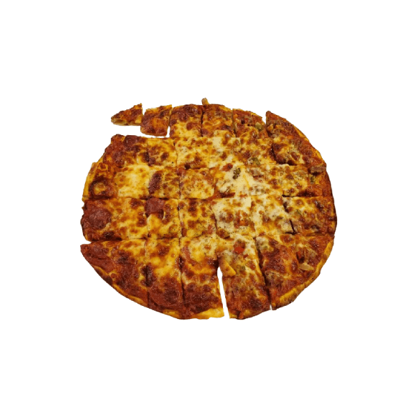 Non Veg Chicago Delight Pizza Regular
