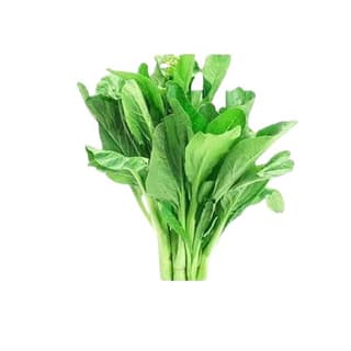 Raai Patta (Bundle)