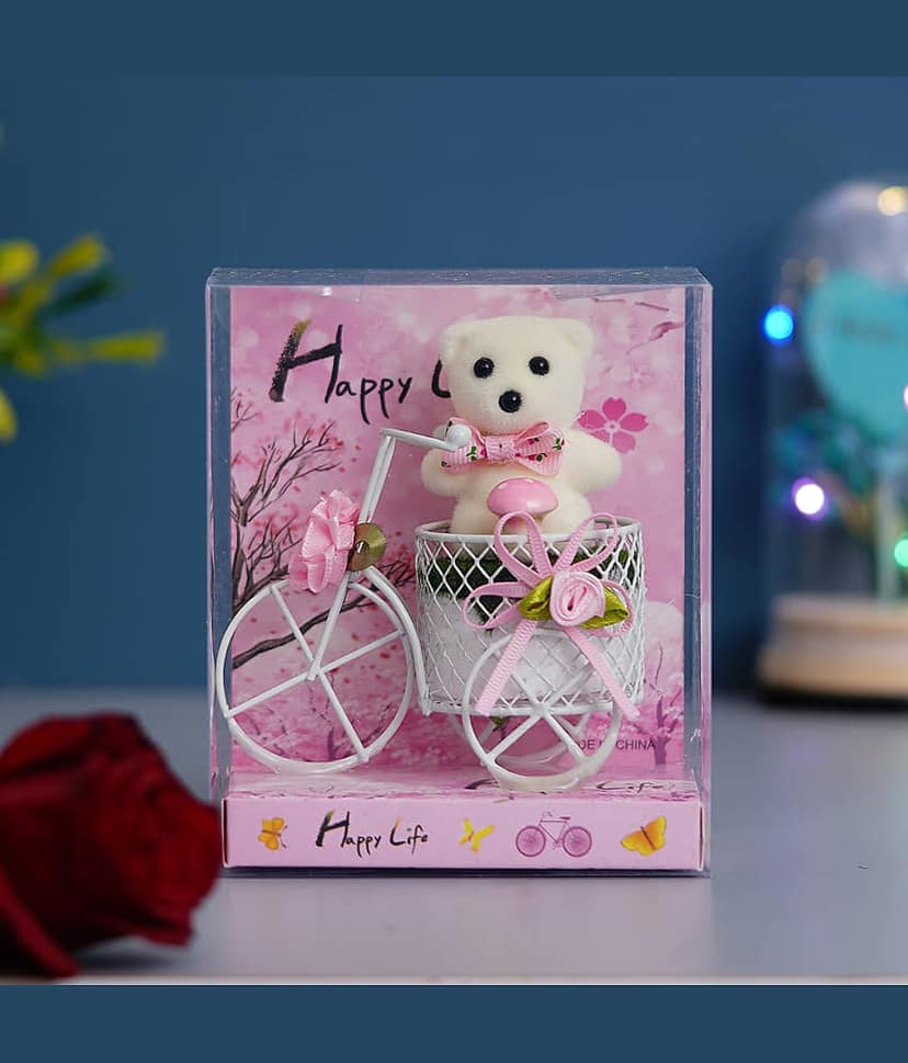 eCraftIndia White & Pink Cycle with Teddy Bear Valentine Gift Set view 2