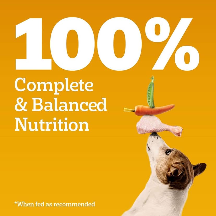 Pedigree Dry Food for Adult Dogs, Meat & Rice Flavour view 3