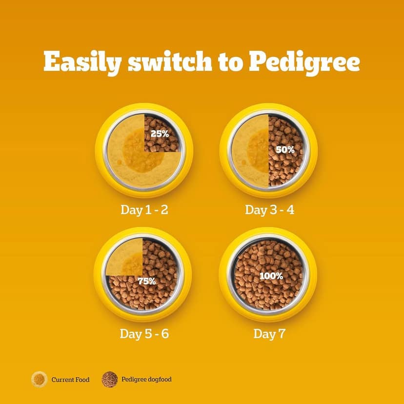 Pedigree Dry Food for Adult Dogs, Meat & Rice Flavour view 4