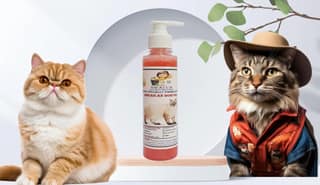 SWACCH Premium Shampoo for American Bobtail (200ML) Jasmine