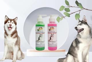 SWACCH Premium Shampoo for Siberian Husky (200ML) (Pack of 2) NEEM ALOVERA & Rose