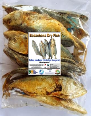 Indian mackerel (Rastrelliger kanagurta) | Kankarta | Badachana Dry Fish | 1Kg