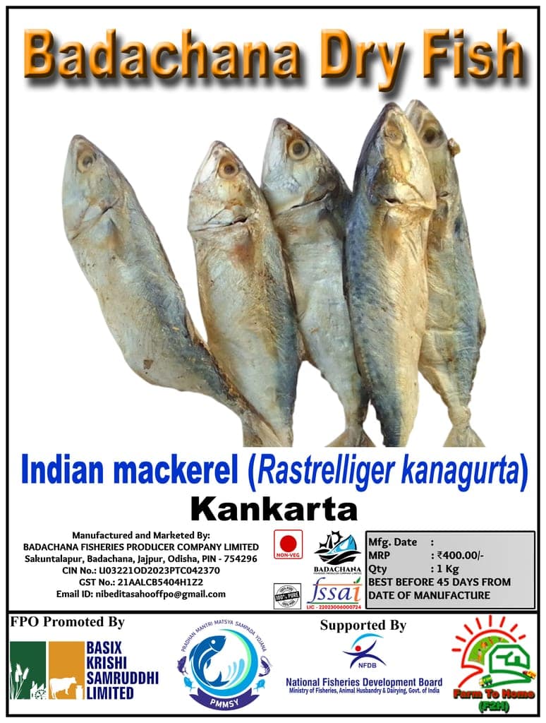 Indian mackerel (Rastrelliger kanagurta) | Kankarta | Badachana Dry Fish | 1Kg view 2
