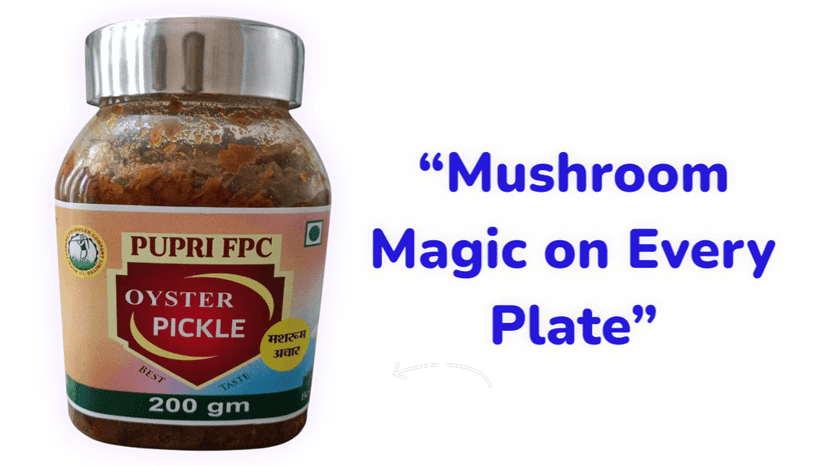Home Made Oyester Mushroom Pickle view 6
