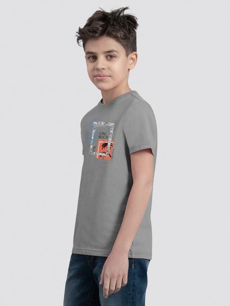 Teen Boys Grey Graphic Print T-Shirt view 4