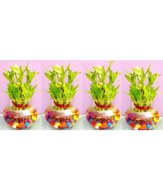 Green plant indoor - Green Wild Artificial Flowers With Pot ( Pack of 4 )