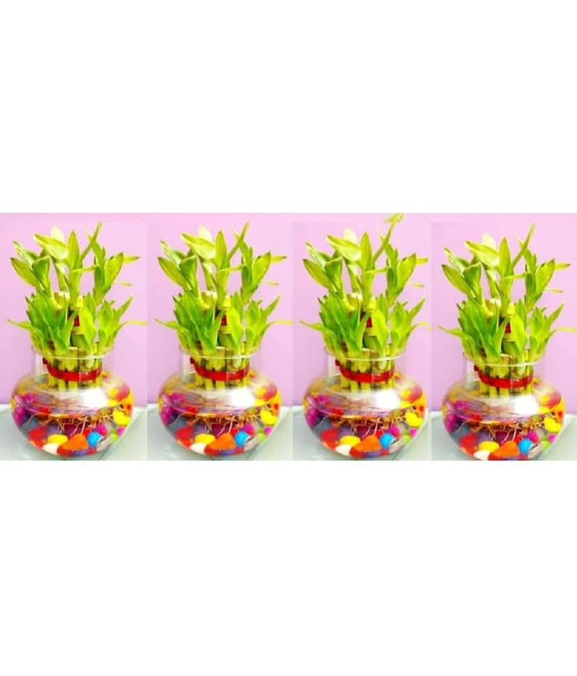 Green plant indoor - Green Wild Artificial Flowers With Pot ( Pack of 4 )