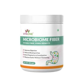 VitaOne Healthy Stomach Formula