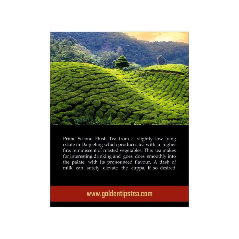 Golden Tips Summer Serenade Second Flush Darjeeling Black Tea (8.81oz - 250 gm - 125 Cups) view 6