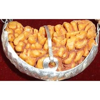1 Mukhi Rudraksha